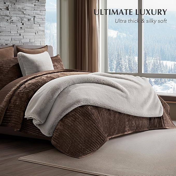EVERGRACEHOME Luxury Soft Faux Chinchilla Fur Throw Blanket for Couch, Warm Thick Heavy Winter Throw Blanket 1220GSM for Bed, Fluffy Cozy Mink Blanket with Reversible Velvet, Silver Taupe, 60"x80"