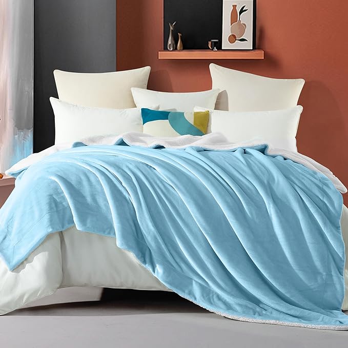 Elegant Comfort Ultra Soft Reversible Flannel Sherpa Blanket - Cozy Silky Fleece Throw for Couch, Bed - Plush Fuzzy Warm Winter Blanket for Gift, Queen, Aqua