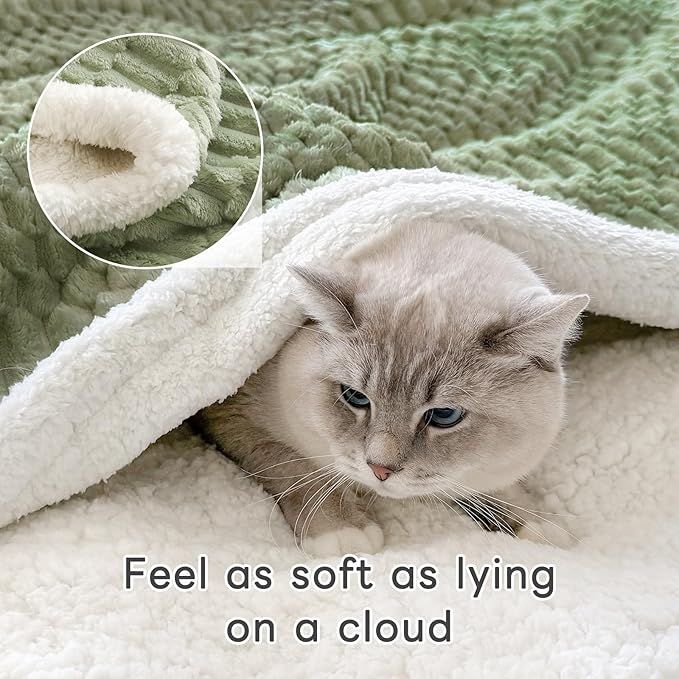 Sherpa Throw Blanket for Couch Flannel Cozy Soft Thick Blanket Warm Twin Blanket for Bed Fleece Home Decor Gifts, Z01 - Green, 60"*80"
