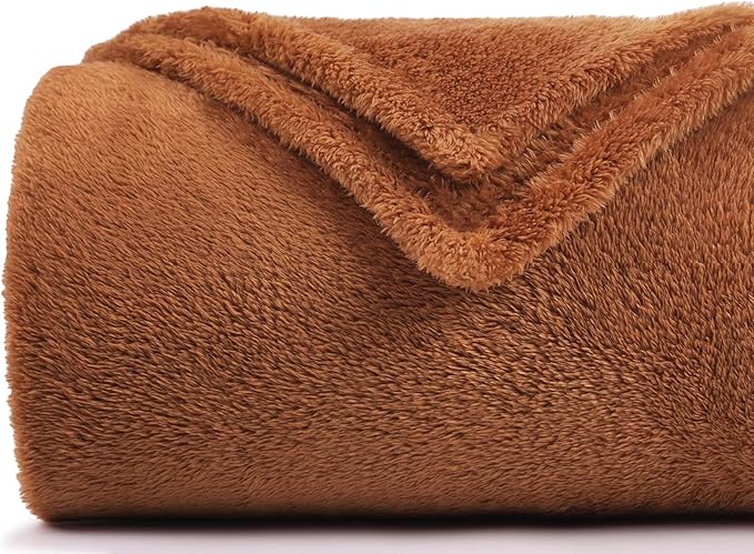 Plush Fleece Throw Blanket for Couch and Bed, Fluffy Fuzzy Cozy Queen-Size Soft Blankets All Season Use (60x80 Inches,Burnt Orange)