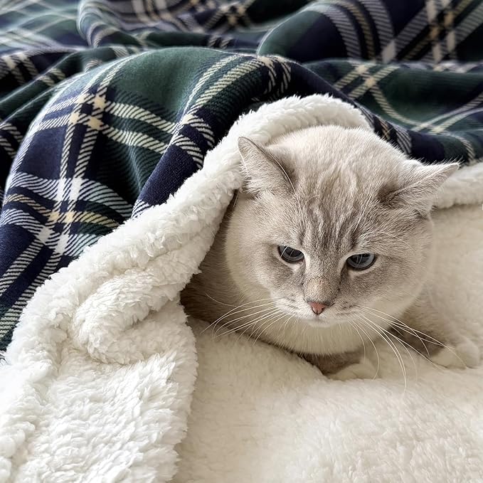 Sherpa Fleece Throw Blanket for Couch, Fluffy Plush Warm Fuzzy Blanket for Women and Men, Cozy Thick Soft Twin Blanket for Bed(Green-Soft Blue, 80"*90")