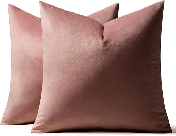 MIULEE Velvet Throw Pillow Covers 18x18 Inch, Pack of 2 - Jam, Soft Solid Decorative Pillow Covers Cushion Cases Modern Luxury Home Decor for Spring Couch Sofa Bedroom Livingroom