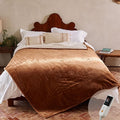 GOTCOZY Heated Blanket - Full Size Electric Blanket with 6 Heating Levels & 10 Hour Auto Off, ETL Certified (72x84 Inch Biscuit)