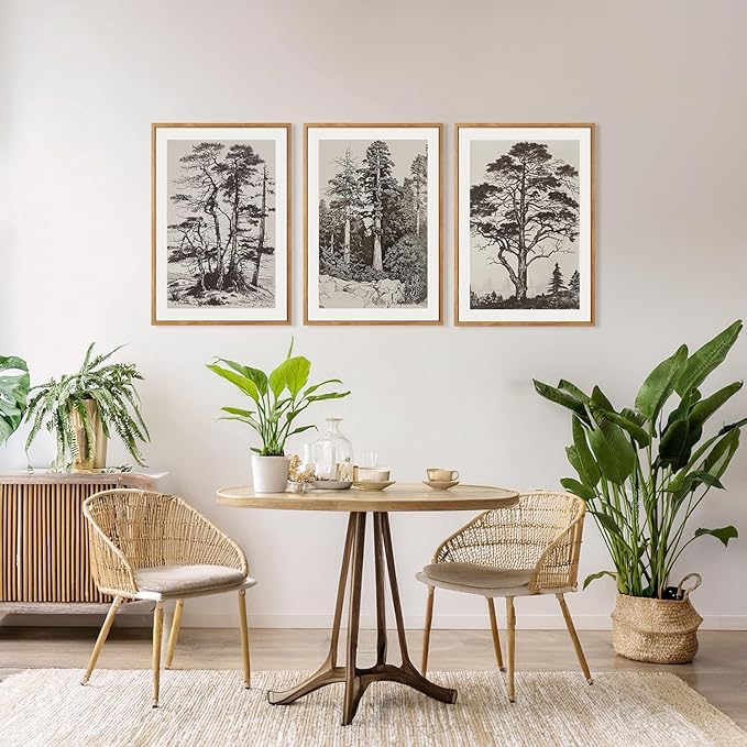 CHDITB Vintage Sketch Pine Tree Framed Canvas Wall Art Set Of 3, Antique Wilderness Forest Wall Decor, Nature Botanical Wall Painting, Modern landscape Art Prints for Living Room Bedroom(12X16 Inch)