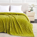 Soft Cozy Fleece Queen Size Blanket, 90x90 Inches – Lightweight Plush Blanket for Bed, Fuzzy 3D Jacquard Design - Olive Green
