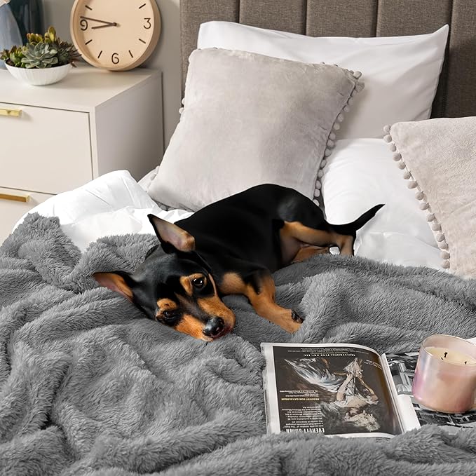 Pavilia Sherpa Bed Blanket Queen Size, Grey Plush Soft Cozy Fluffy Lightweight Microfiber Fuzzy All Season Blanket, 90x90