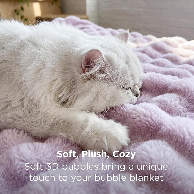 Bedsure 3D Fleece Bubble Blanket - GentleSoft Purple Queen Blanket for Bed Sofa Room Decor - Luxury Soft Cozy Gifts for Her, Lightweight, All Seasons, Light Purple, 90"×90"