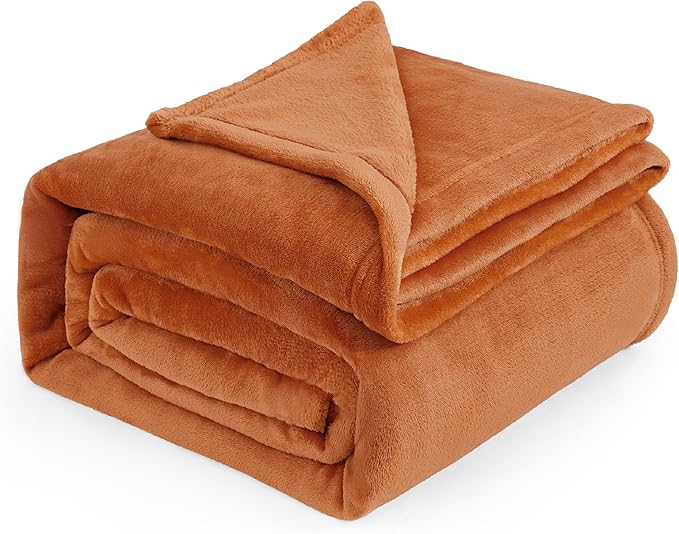 Bedsure GentleSoft Fleece Blankets Queen Size - 280GSM Soft Lightweight Plush Cozy Blanket for Bed, Sofa, Couch, Travel, Camping