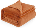 Bedsure GentleSoft Fleece Blankets Queen Size - 280GSM Soft Lightweight Plush Cozy Blanket for Bed, Sofa, Couch, Travel, Camping