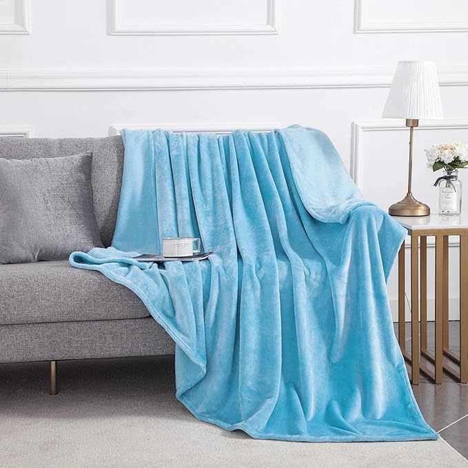 IR Imperial Rooms Fleece Blanket - Super Soft Fluffy Light Blue Throw Blanket for Sofa and Bed - Warm and Cozy Lightweight 400 GSM Microfiber Bed Throws Blankets, 50x60 Inches (Throw/Travel)