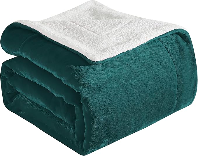 Elegant Comfort Ultra Soft Reversible Flannel Sherpa Blanket - Cozy Silky Fleece Throw for Couch, Bed - Plush Fuzzy Warm Winter Blanket for Gift, Queen, Turquoise