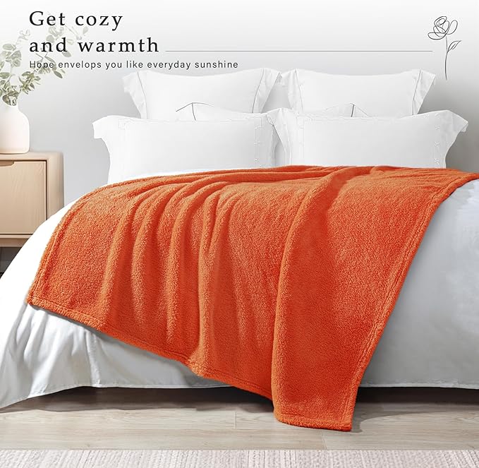 Exclusivo Mezcla Soft Fleece Throw Blanket for Couch, Super Soft Velvet Plush Fleece Blankets, Fuzzy Cozy and Warm for Winter, 50x60 Inches, Burnt Orange