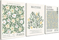 Induslyfe Framed Green Wall Art Canvas Decor Set of 3, Matisse Wall Art Framed Prints Posters Mid Century Modern Art, Aesthetic Floral Botanical wall art for bedroom, living room bathroom 12x16