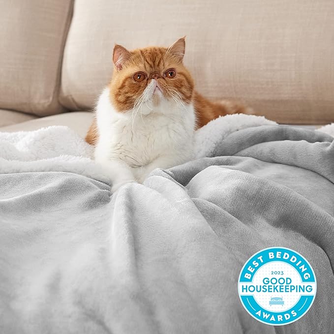 Bedsure GentleSoft Sherpa Fleece Twin Size Blanket for Couch, Non-Heated, Thick and Warm Throw for Women and Men, Soft Fuzzy Plush Twin Blanket for Winter, Light Grey, 60x80 Inches