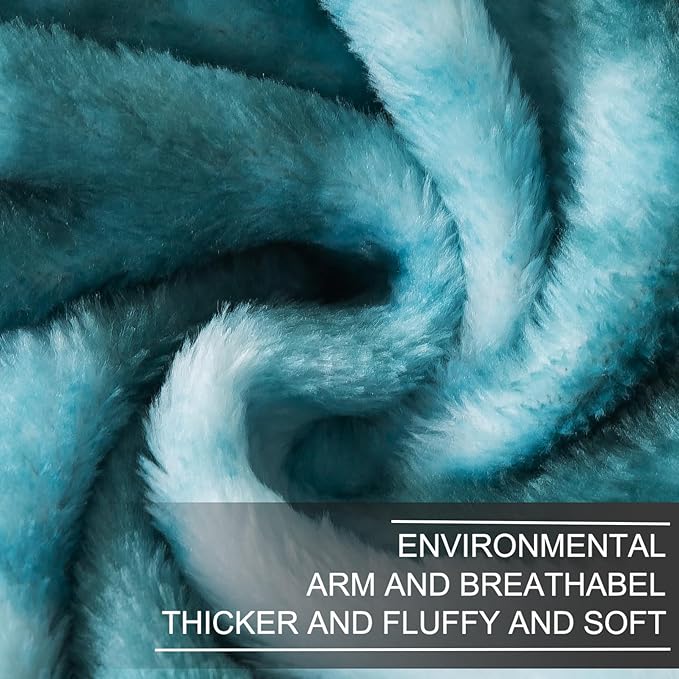 Richave Fuzzy Blanket Queen Size - Teal, Premium Lightweight Anti-Static, Plush and Furry Faux Fur, Reversible Queen Blankets for Queen Full Bed, 90x90 Inches,Teal