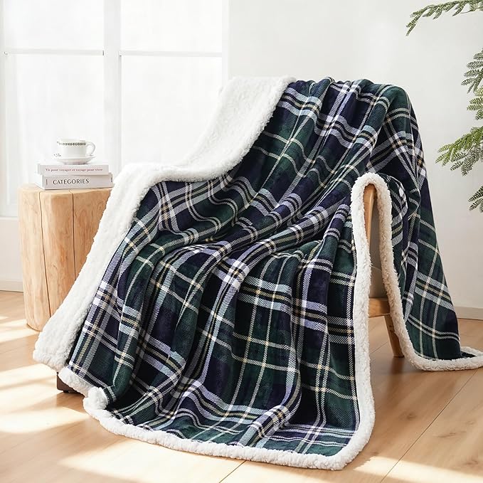 Sherpa Fleece Throw Blanket for Couch, Fluffy Plush Warm Fuzzy Blanket for Women and Men, Cozy Thick Soft Twin Blanket for Bed (Green-Soft Blue, 60"*80")