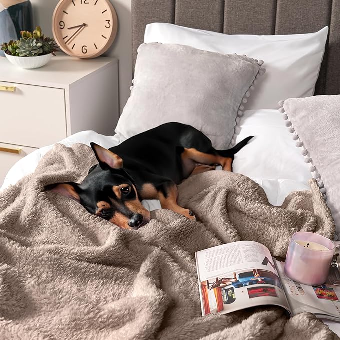 PAVILIA Sherpa Throw Blanket for Couch Sofa, Taupe Tan Fluffy Warm Plush Blanket for Twin Bed, Cozy Super Soft Lightweight Throw, Fuzzy Decorative Blanket, All Season Home, 60x80