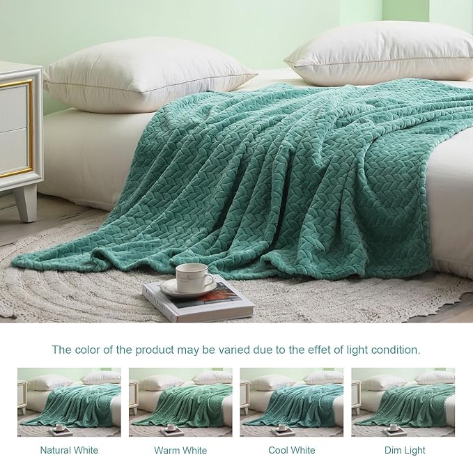 Exclusivo Mezcla Fleece Throw Blanket for Couch and Bed, 50x70 Inches Soft Cozy Jacquard Flannel Blankets, Lightweight Fuzzy Plush Warm Throws for Women, Celadon