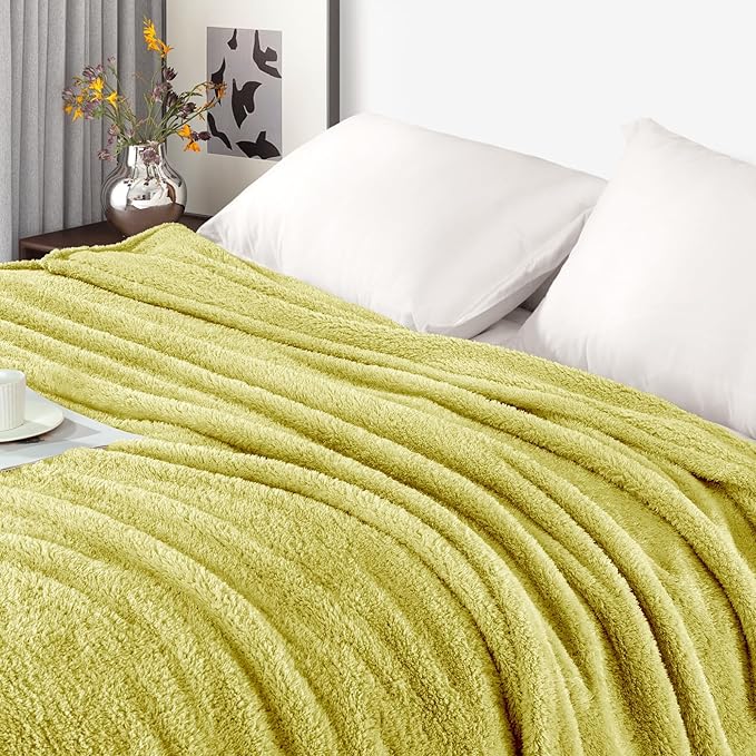 Exclusivo Mezcla Fleece Light Green Throw Blanket for Couch Sofa, Ultra Soft, Lightweight and Fluffy Blankets for Women, All Season, 50x60 Inches