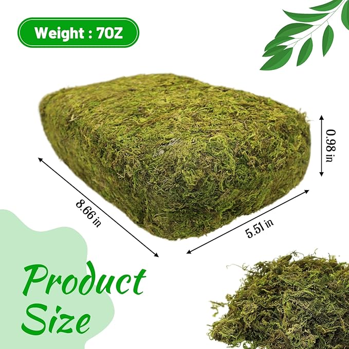 Riare 7OZ Artificial Fake Moss for Fake Plants Indoor- Premium Faux Craft Moss for Potted Plant, Fresh Forest Green for Hamsters Micro-Landscape Terrariums Centerpieces Decor
