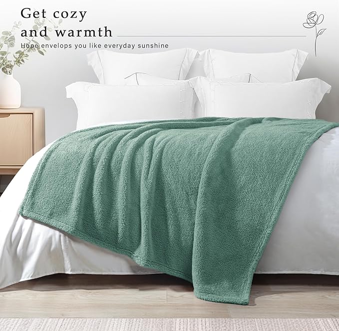 Exclusivo Mezcla Soft Fleece Throw Blanket for Couch, Super Soft Velvet Plush Fleece Blankets, Fuzzy Cozy and Warm for Winter, 50x60 Inches, Celadon