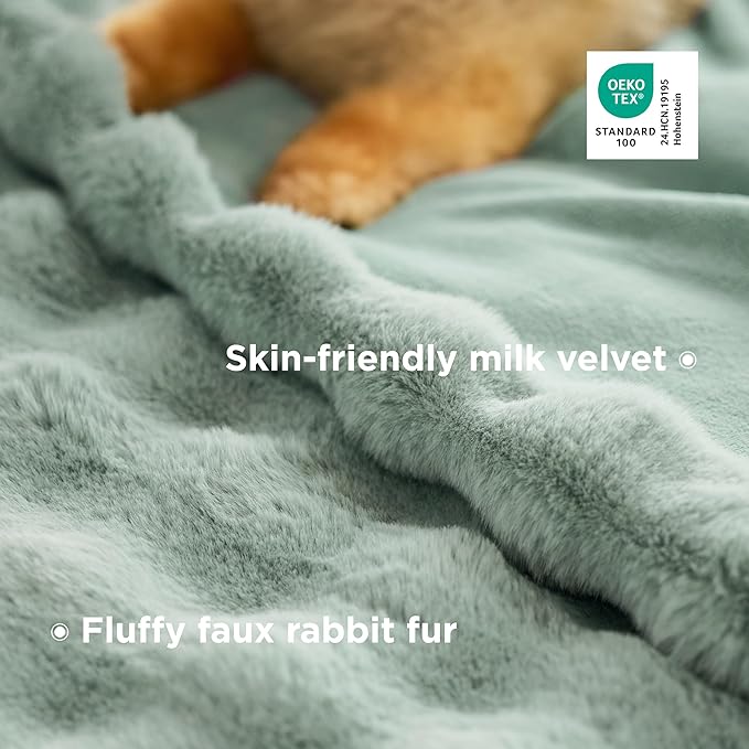 Bedsure GentleSoft Fluffy Fuzzy Sage Green Throw Blanket, Soft Cozy Fleece Faux Fur Blanket for Couch, Spring Green Decor Minky Velvet Bed Cover, Thick Warm Plush Women Men Birthday Gifts