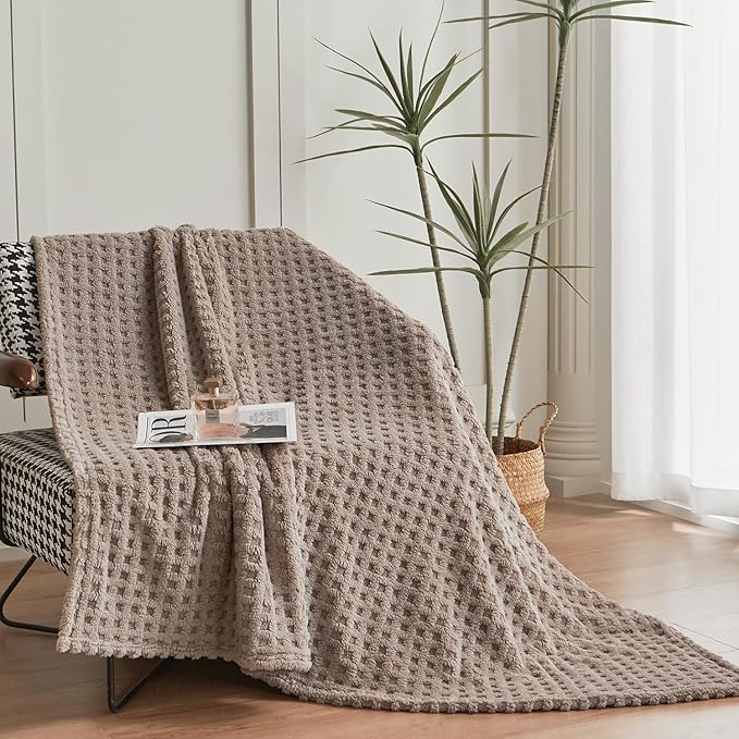 Soft Cozy Fuzzy Fleece Queen Size Blanket, Waffle Light Taupe, 90x90 Inches – Lightweight, Fluffy, and Warm 3D Jacquard All-Season Blanket for Bed, Couch, Sofa, Camping, and Travel
