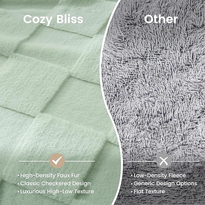Cozy Bliss Checkered Faux Rabbit Fur Twin Blanket for Bed, Soft Fuzzy Blankets for Women Men, Furry Fleece Throw for Sofa Bedroom Living Room (60 * 80 Inches Light Green)