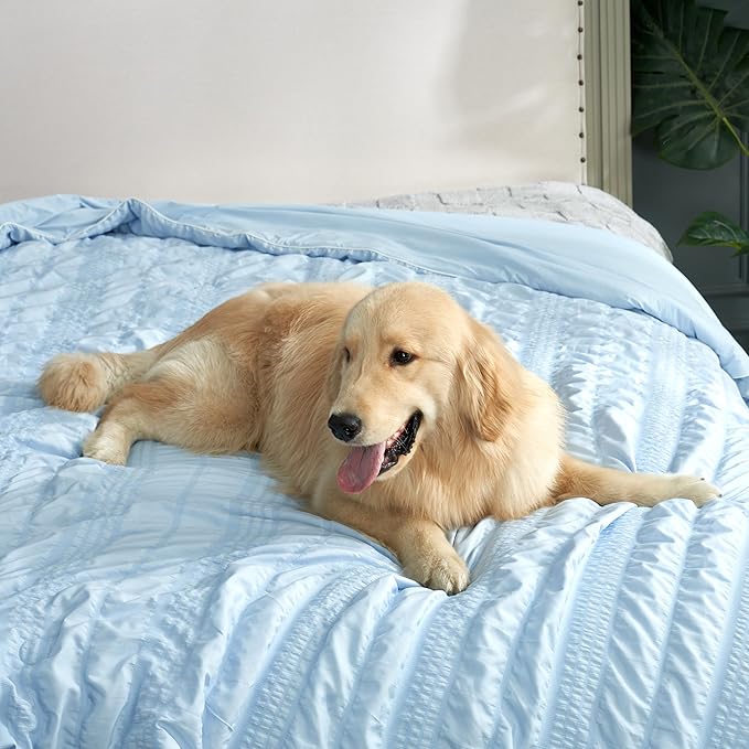 Cozy Bliss Seersucker Cooling Comforter Twin Size, Q-Max 0.45 Reversible Lightweight Cooling Blanket, Breathable Silk Smooth Summer Bedding Quilt for Hot Sleepers Night Sweats Cold Blue