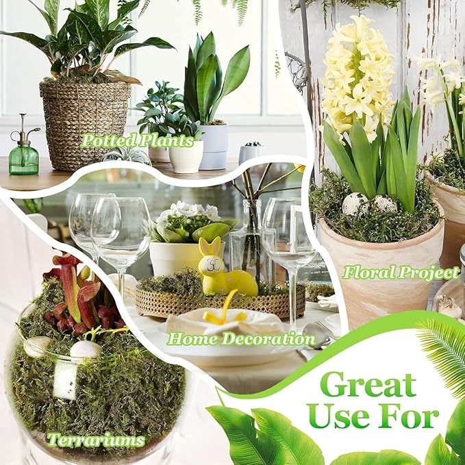 Riare 2.6LBS Artificial Fake Moss for Fake Plants Indoor- Premium Faux Craft Moss for Potted Plant, Fresh Forest Green for Hamsters Micro-Landscape Terrariums Centerpieces Decor