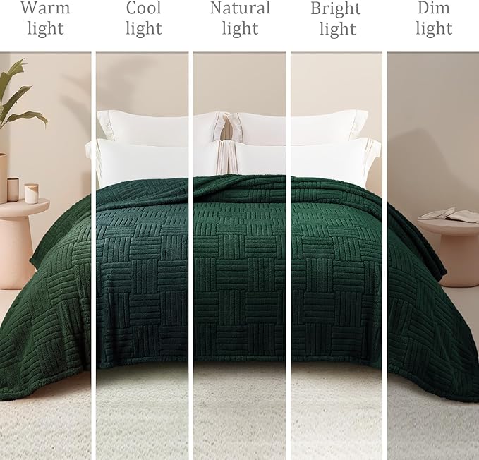 Whale Flotilla Lightweight Fleece Twin Size Blanket for Bed, Fuzzy Soft Blankets with Decorative Jacquard Pattern for All Season, Warm and Fluffy, 60x80 Inch, Emerald Green