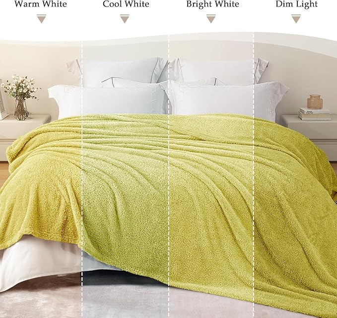 Exclusivo Mezcla Fleece King Size Bed Blanket, Ultra Soft, Lightweight and Fuzzy Light Green Blanket for Women, Home Decor, 90x104 Inches