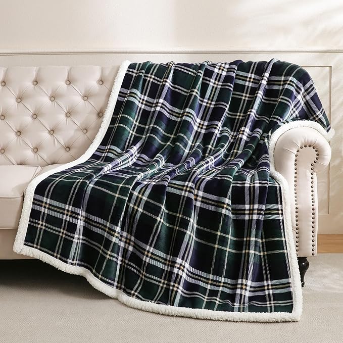 Sherpa Fleece Throw Blanket for Couch, Fluffy Plush Warm Fuzzy Blanket for Women and Men, Cozy Thick Soft Twin Blanket for Bed (Green-Soft Blue, 60"*80")