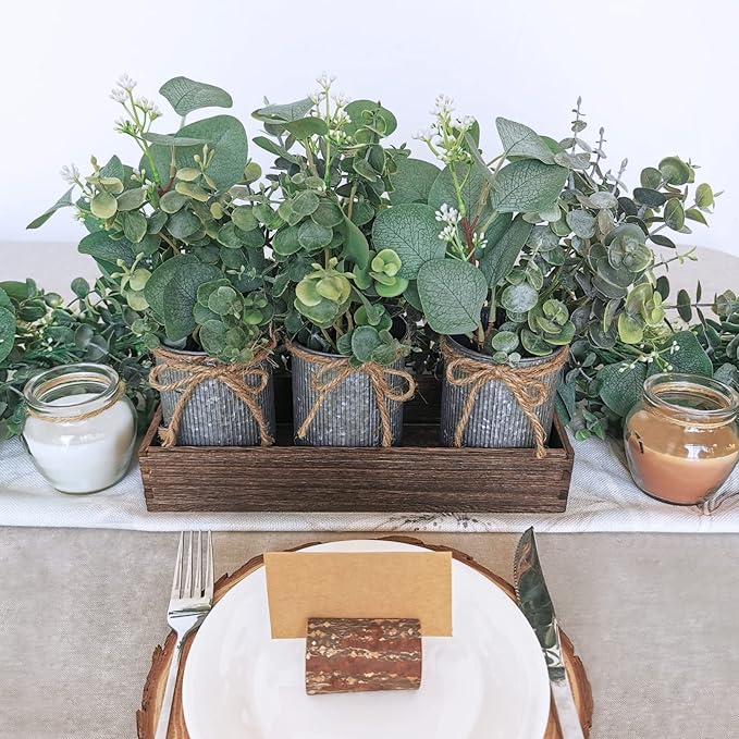 Set of 3 Farmhouse Galvanized Metal Pots Centerpiece Artificial Silver Dollar Eucalyptus Greenery Arrangement with Rectangle Wood Box for Table Desk Shelf Mantel Home Kitchen Indoor Decoration Gifts