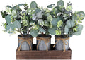 Set of 3 Farmhouse Galvanized Metal Pots Centerpiece Artificial Silver Dollar Eucalyptus Greenery Arrangement with Rectangle Wood Box for Table Desk Shelf Mantel Home Kitchen Indoor Decoration Gifts
