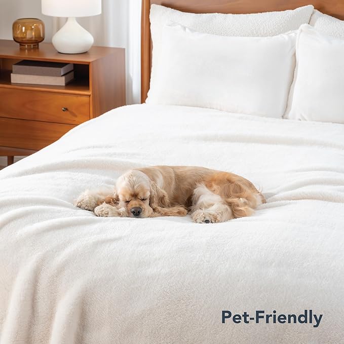 Berkshire Blanket Classic Extra-Fluffy™ Plush Blanket Twin Size, Soft Fuzzy Fluffy Long Hair Blanket for Couch Sofa Bed, Cream, 60x92 Inches