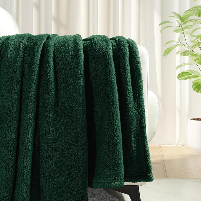 Exclusivo Mezcla Twin Size Blanket for Bed, Super Soft Velvet Plush Fleece Blankets, Fuzzy Cozy and Warm for Winter, 60x80 Inches, Forest Green