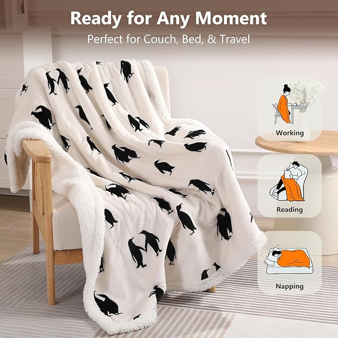 Cute Heated Blanket Queen Size Electric Blanket 84"x90" Dual Controllers to Adjust Heating Levels Heating Blanket Queen with 5 Heating Levels & 10 Hrs Auto-off, Machine Washable, Great Birthday Gift