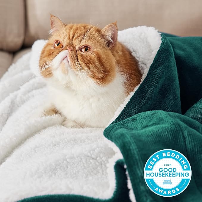 Bedsure GentleSoft Sherpa Fleece Twin Size Blanket for Couch, Non-Heated, Thick and Warm Throw for Women and Men, Soft Fuzzy Plush Twin Blanket for Winter, Forest Green, 60x80 Inches