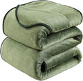 Fleece Blankets Travel Size Summer Blanket All Season Lightweight Throw for The Bed Extra Soft Brush Fabric Winter Warm Sofa Blanket 50"*61"(Travel Green)