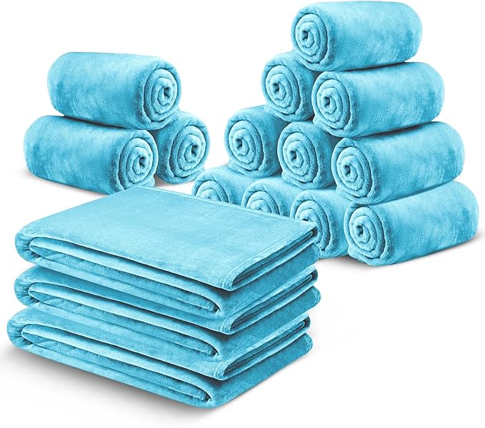 MOONLIGHT20015 Fleece Blanket 16 Pack - Soft Fluffy Light Blue Throw Blanket for Couch & Sofa - Lightweight Luxury 400 GSM Microfiber Fuzzy Bed Blankets and Throws (50 x 60 Inches, Throw/Travel)