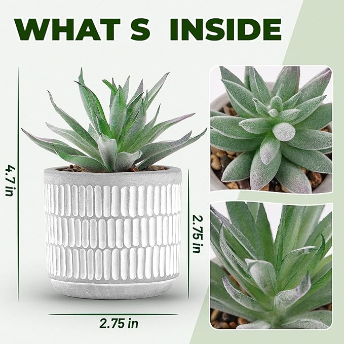 Der Rose Set of 2 Succulents Plants Artificial Fake Cactus Plants for Living Room Bathroom Bedroom Aesthetic Home Shelf Decor