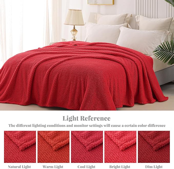 Whale Flotilla Twin Size Fuzzy Fleece Blanket for Bed, 60x80 Inch Fluffy Warm Soft Jacquard Blankets for All Season, Lightweight and Cozy, Red