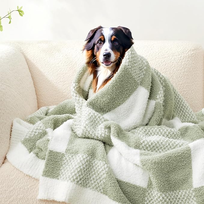 Snuggle Sac Checkered Blanket, Sage Green Throw Blanket for Couch Plaid Microfiber Fluffy Warm Cozy Fuzzy Soft Throw Blanket Reversible Checker Blankets for Sofa, Chair, Bed, 60x80 inches