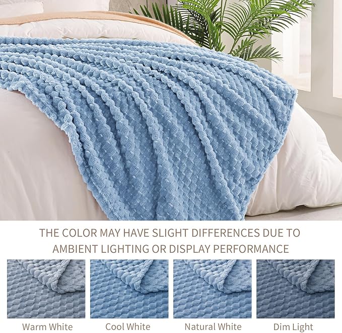 Exclusivo Mezcla Fleece Queen Blanket for Bed, Extra Large Fuzzy Stone Blue Bed Blankets, Soft Cozy Plush Sofa Throws for All Seasons, 90x90 Inches