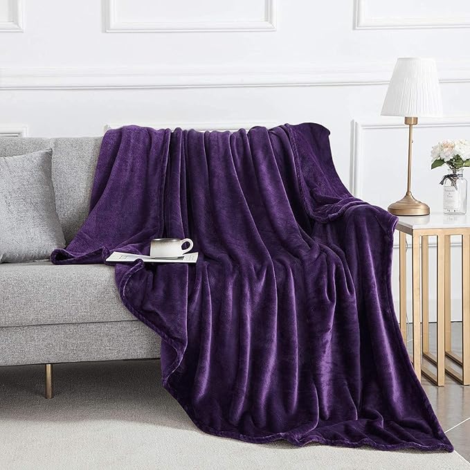 IR Imperial Rooms Fleece Blanket - Super Soft Fluffy Purple Throw Blanket for Sofa and Bed - Warm and Cozy Lightweight 400 GSM Microfiber Bed Throws Blankets, 50x60 Inches (Throw/Travel)