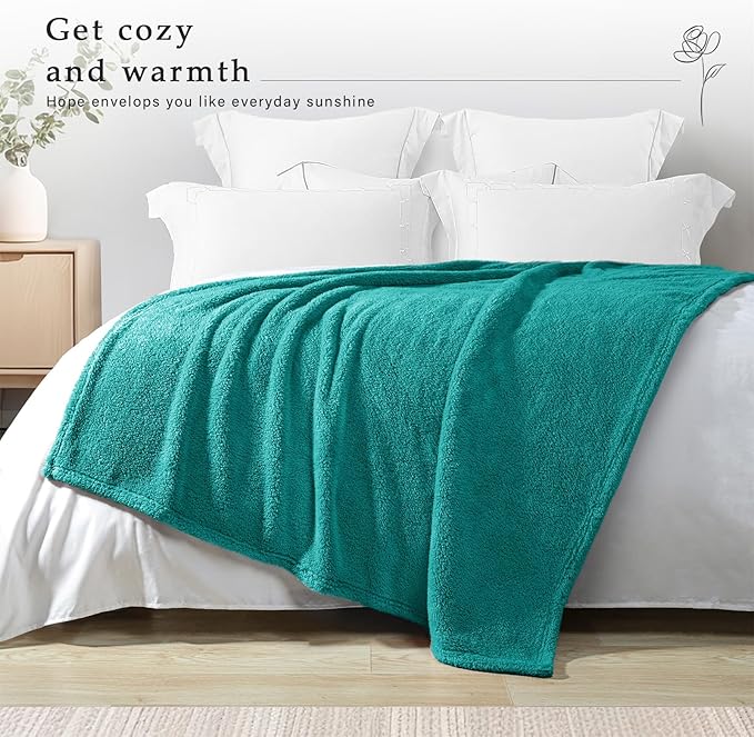 Exclusivo Mezcla Soft Fleece Throw Blanket for Couch, Super Soft Velvet Plush Fleece Blankets, Fuzzy Cozy and Warm for Winter, 50x60 Inches, Teal