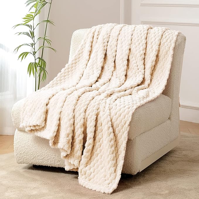 FY FIBER HOUSE Fleece Blanket Twin Size for Couch 300GSM Super Soft Plush Fuzzy Blankets and Throws for Sofa Bed Office, 60x80 Inches, Beige