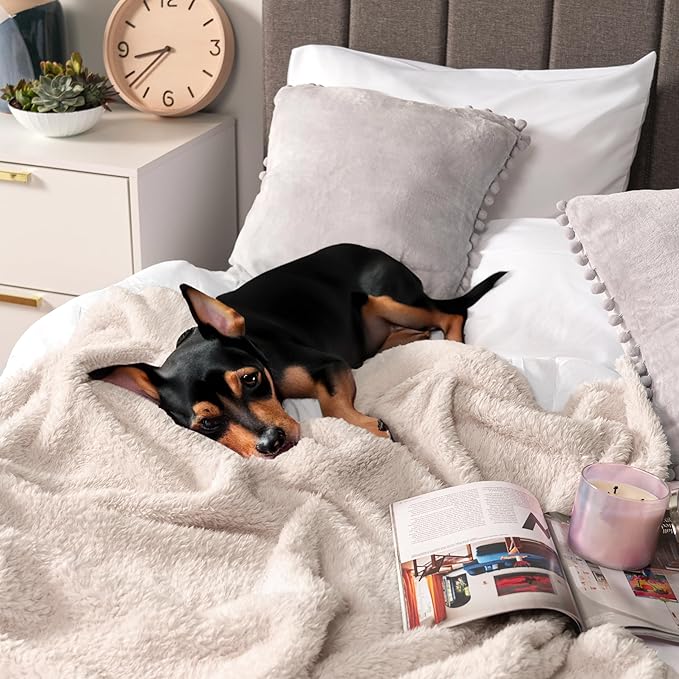 PAVILIA Sherpa Bed Blanket Queen Size, Cream Beige Plush Soft Cozy Blanket for Bed, Fluffy Lightweight Microfiber, Fuzzy All Season Blanket, 90x90 Queen