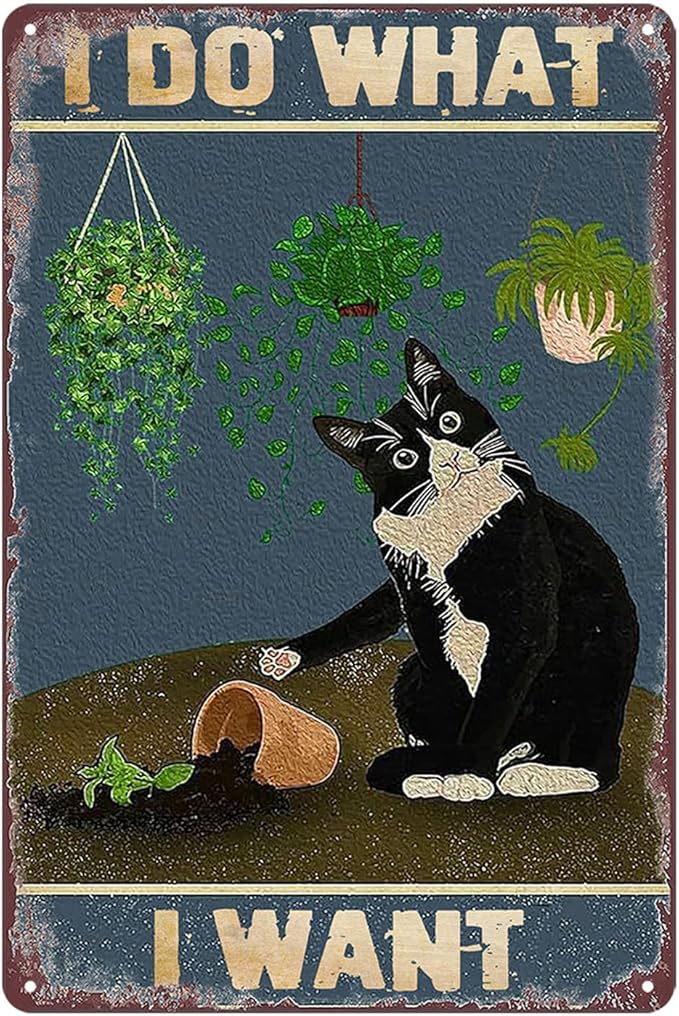 Funny Black Cat Wall Art Metal Tin Sign Vintage Cat Bathroom Poster I Do What I Want Cat Signs Personalized Wall Decor Funny Cat Sign Welcome To The Bathroom A Cat Will Signs 8x12 Inch